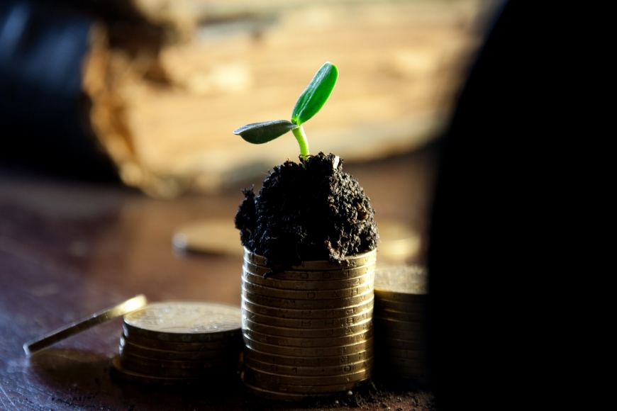 Discover Valuable New Sales Opportunities to Grow Your Business
